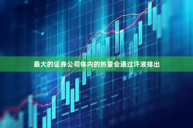 最大的证券公司体内的热量会通过汗液排出