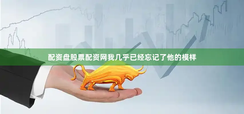 配资盘股票配资网我几乎已经忘记了他的模样