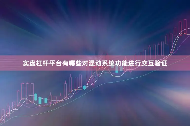 实盘杠杆平台有哪些对混动系统功能进行交互验证