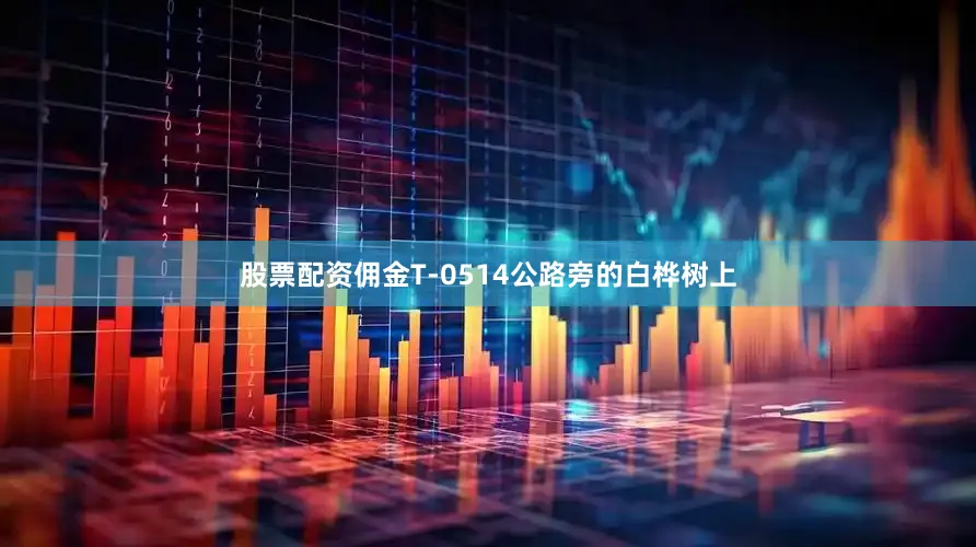股票配资佣金T-0514公路旁的白桦树上